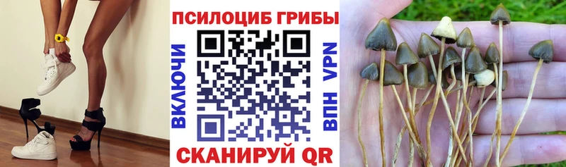 Галлюциногенные грибы мицелий  даркнет сайт  Иноземцево 